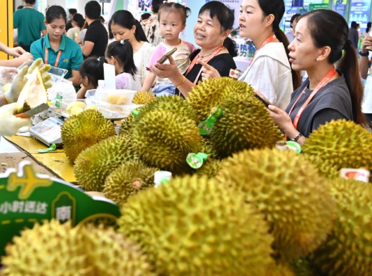 Tin vui cho sầu riêng Đông Nam Á: Nhập khẩu sầu riêng của Trung Quốc bùng nổ trở lại, một nhà cung cấp thị phần tăng gấp 10 lần kể từ đầu năm - Ảnh 1.