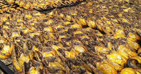 Cả thế giới tranh nuôi nhưng chỉ Việt Nam tạo nên ngành công nghiệp tỷ đô từ "mỏ vàng" này - chiếm 95% thị phần toàn cầu  - Ảnh 1.