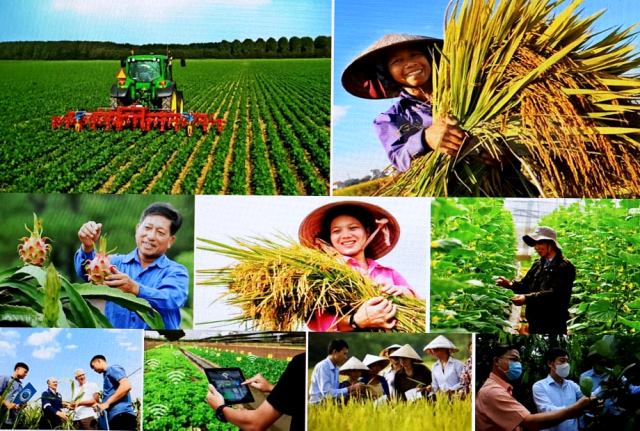Tin vui cho hàng triệu người dân Việt Nam: Kéo dài thời hạn miễn thuế sử dụng đất nông nghiệp đến hết ngày 31/12/2030- Ảnh 1. Tin vui cho hàng triệu người dân Việt Nam: Kéo dài thời hạn miễn thuế sử dụng đất nông nghiệp đến hết ngày 31/12/2030- Ảnh 1.