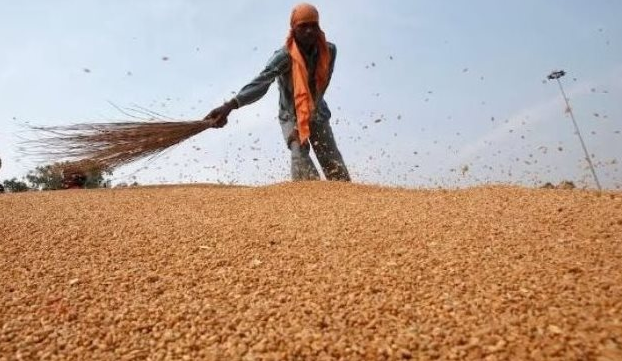 Hàng trăm nghìn tấn hàng từ Nga vừa đổ bộ vào Việt Nam: Nhập khẩu tăng trưởng 3 chữ số, ưu đãi thuế nhập khẩu 0% - Ảnh 1.