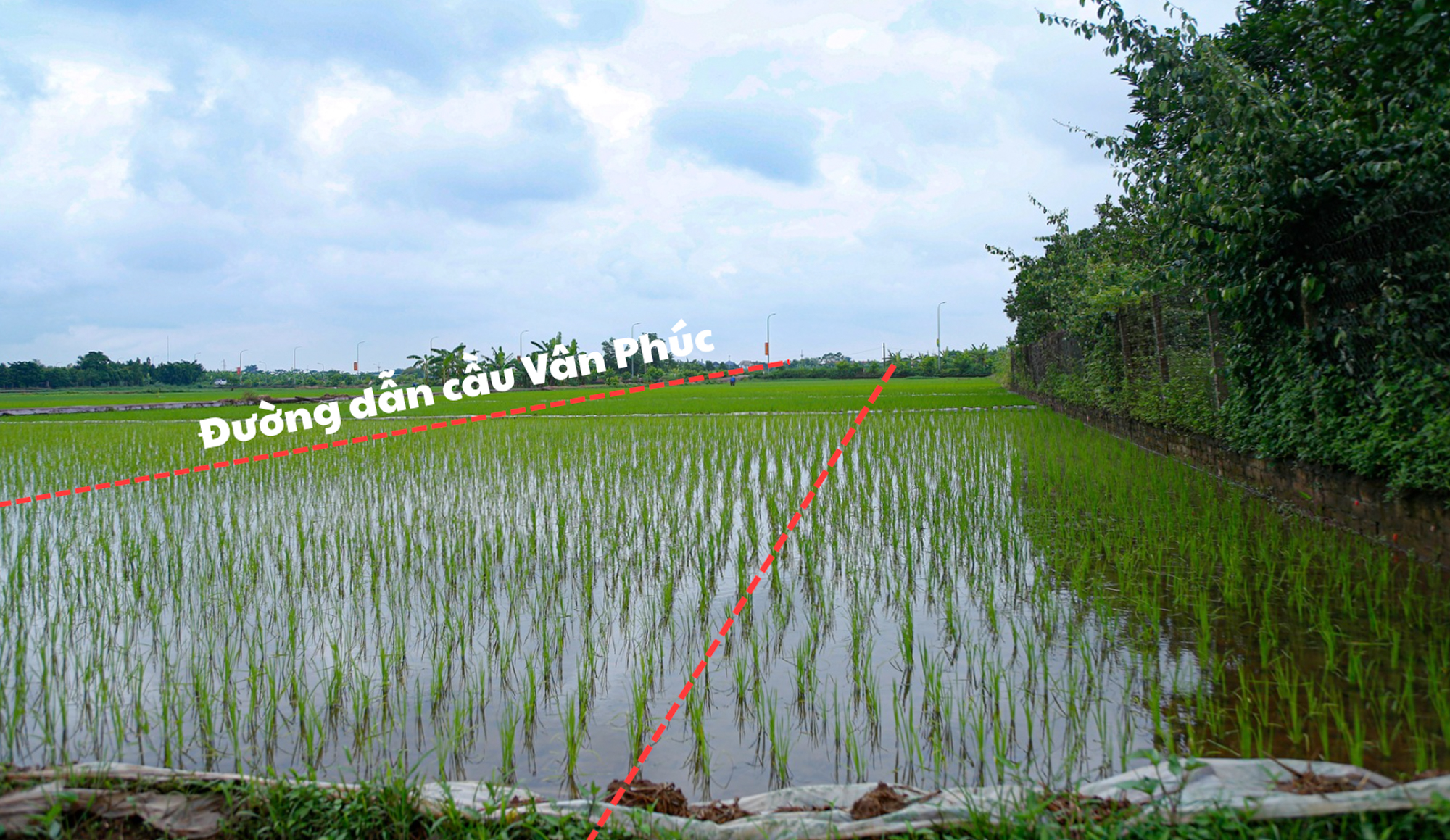 Toàn cảnh khu vực sắp được xây cầu hơn 3.400 tỷ, biến loạt làng xóm ven sông thành đất mặt tiền ở Hà Nội- Ảnh 7. Toàn cảnh khu vực sắp được xây cầu hơn 3.400 tỷ, biến loạt làng xóm ven sông thành đất mặt tiền ở Hà Nội- Ảnh 7.