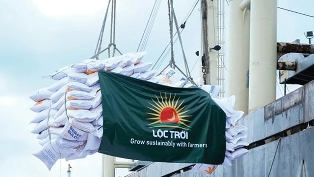 Cổ đông Lộc Trời không chấp nhận kế hoạch lỗ 500 tỷ, không bầu bổ sung thành viên HĐQT - Ảnh 1.