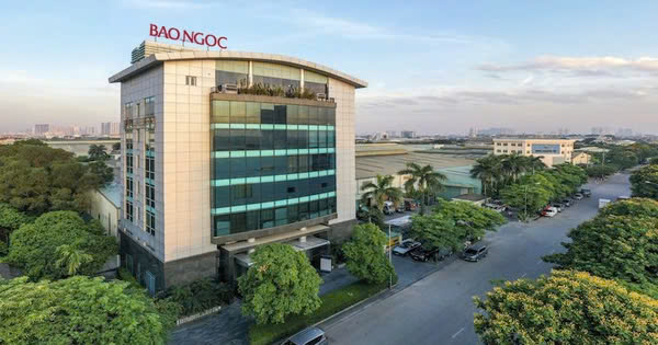 Chủ thương hiệu bánh trung thu Bảo Ngọc 'có tên' trong danh sách nợ bảo hiểm - Ảnh 1.