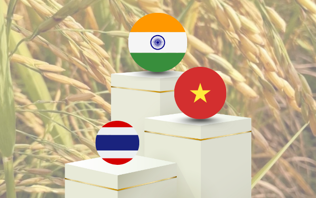 Không phải sầu riêng, Việt Nam vượt mặt Thái Lan đứng thứ 2 thế giới về xuất khẩu một mặt hàng tỷ đô, đạt kỷ lục gần 5 triệu tấn trong nửa đầu năm - Ảnh 1.