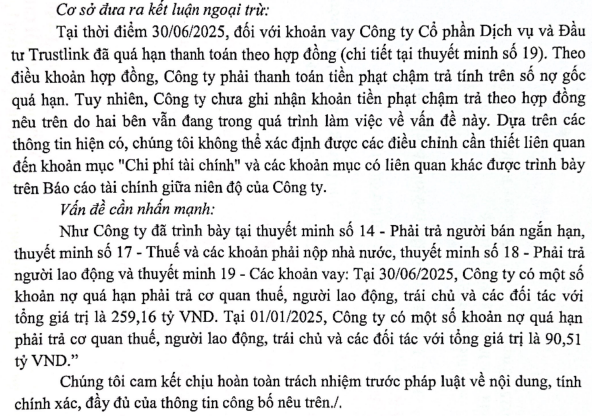 Chậm thanh toán trái phiếu, BKAV Pro bị kiểm toán nhấn mạnh khoản nợ quá hạn 260 tỷ đồng - Ảnh 1.
