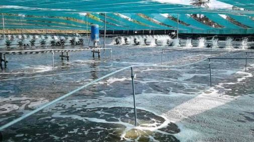 Trung Quốc liên tục săn lùng kho báu dưới nước của Việt Nam: Nước ta là trùm đứng thứ 2 thế giới, sở hữu công nghệ chế biến hiện đại đứng top toàn cầu - Ảnh 1.