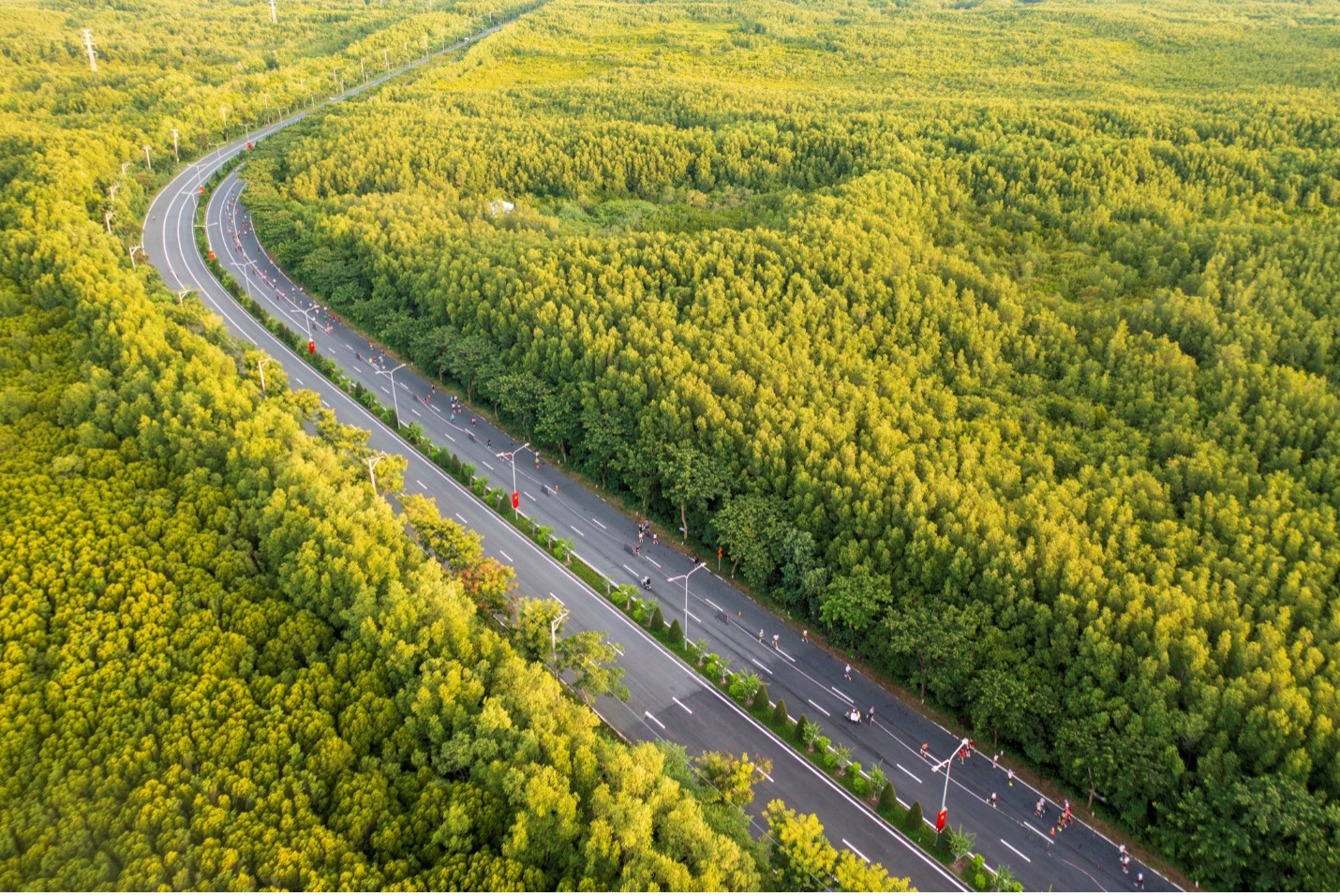 HDBank Green Marathon 2025 - Điểm hẹn của những bước chân xanh và nhịp sống số - Ảnh 2.