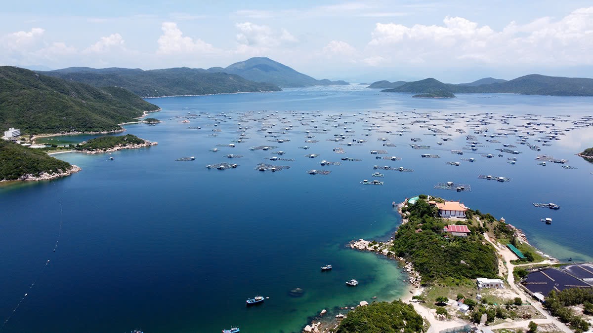 Khánh Hòa mới: “Cực tăng trưởng biển đảo” cần bệ phóng nhân lực và nhà đầu tư lớn- Ảnh 3. Khánh Hòa mới: “Cực tăng trưởng biển đảo” cần bệ phóng nhân lực và nhà đầu tư lớn- Ảnh 3.