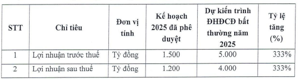 VIX muốn tăng chỉ lợi nhuận năm 2025 lên 5.000 tỷ đồng - Ảnh 1.