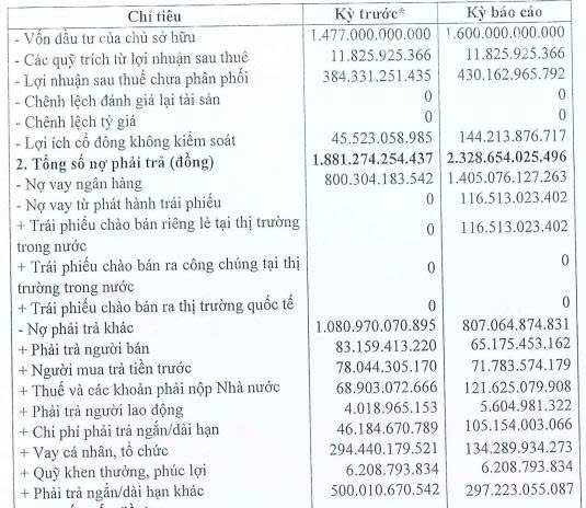 Tập đoàn Tây Bắc báo lãi ròng nửa đầu năm 2025 ‘sụt giảm’ hơn 70% - Ảnh 1.