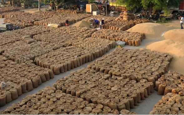 Một ‘mỏ vàng’ của Việt Nam được các quốc gia châu Phi đua nhau săn lùng: Xuất khẩu đứng thứ 3 thế giới, nước ta liên tục đe dọa ngôi vương của Thái Lan - Ảnh 1.