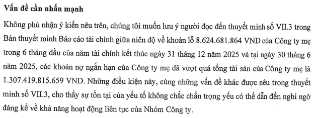Sunbay Ninh Thuận bị kiểm toán nghi ngờ về khả năng hoạt động liên tục - Ảnh 1.