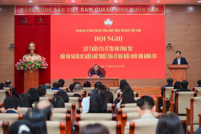 Giới thiệu bà Bùi Thị Minh Hoài ứng cử Đại biểu Quốc hội- Ảnh 1.