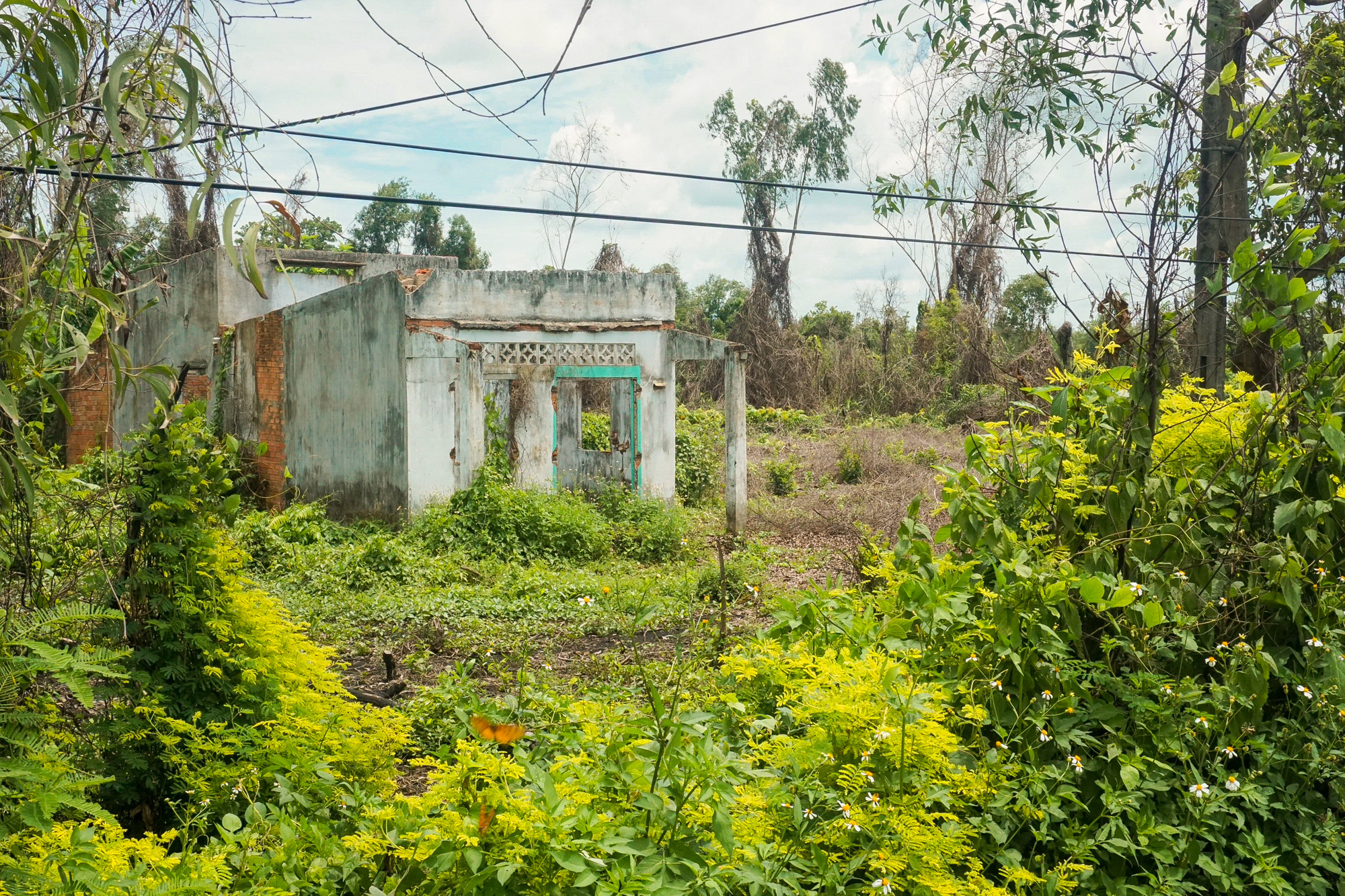 Những khu đô thị treo hơn 20 năm ở TP.HCM: Nơi lột xác khi về tay ông lớn, nơi vẫn là thôn quê - Ảnh 7.