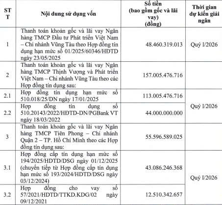 Hodeco điều chỉnh phương án sử dụng vốn từ phát hành trái phiếu chuyển đổi - Ảnh 1.