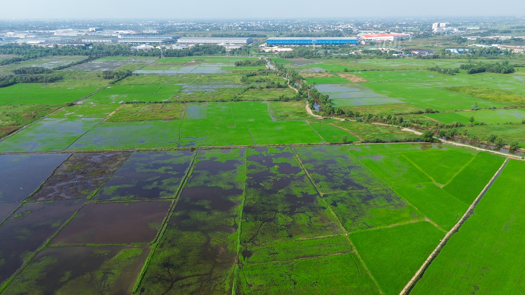 Vinhomes sắp xây khu đô thị đại học quốc tế lớn nhất cả nước: vốn gần 59.000 tỷ, rộng ngang quận trung tâm, nằm sát Vành đai 3- Ảnh 8.