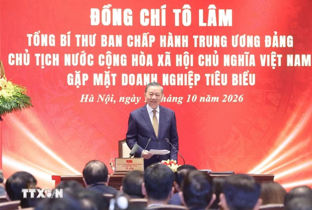 Tổng Bí thư, Chủ tịch nước Tô Lâm: Doanh nghiệp vững mạnh góp phần bồi đắp sức mạnh quốc gia - Ảnh 2.