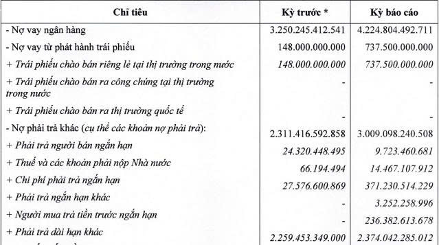 Tandoland đảo chiều lợi nhuận bán niên năm 2026 - Ảnh 2.