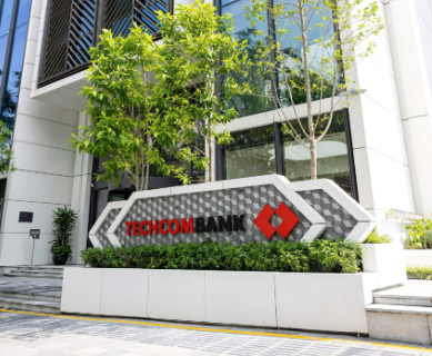 Techcombank muốn rót thêm 680 tỷ vào công ty bảo hiểm - Ảnh 1.