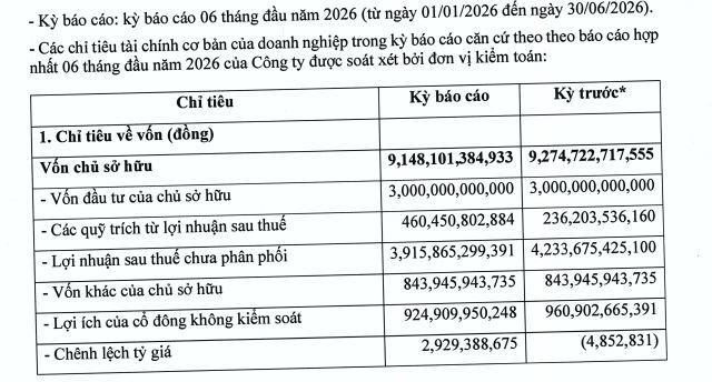 Phenikaa Group báo lãi bán niên giảm nhẹ, tổng nợ phải trả hơn 9.100 tỷ đồng - Ảnh 1.