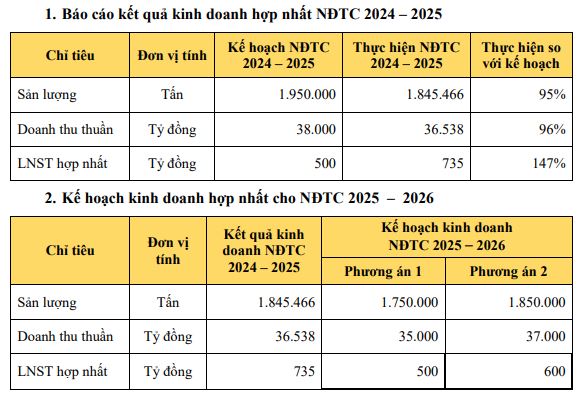 Hoa Sen Group đặt mục tiêu lợi nhuận 'đi lùi', lên kế hoạch huy động vốn cho 2 công ty con - Ảnh 1.