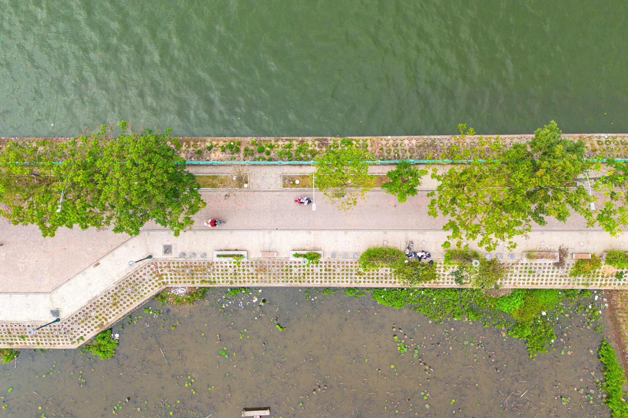 Toàn cảnh dự án 30.000 tỷ giúp hồ Tây “lột xác”: Giữ nguyên mặt nước, thêm vườn hoa, quảng trường nổi và bãi xe ngầm- Ảnh 11. Toàn cảnh dự án 30.000 tỷ giúp hồ Tây “lột xác”: Giữ nguyên mặt nước, thêm vườn hoa, quảng trường nổi và bãi xe ngầm- Ảnh 11.