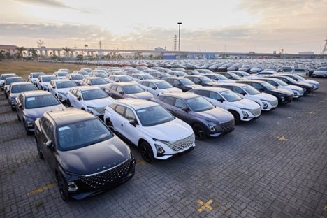 Vượt mặt Thái Lan, ô tô Trung Quốc ồ ạt tràn vào Việt Nam - Ảnh 1.