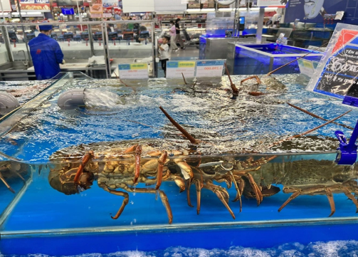 Việt Nam vừa đón một tin cực vui từ Trung Quốc - Ảnh 1.