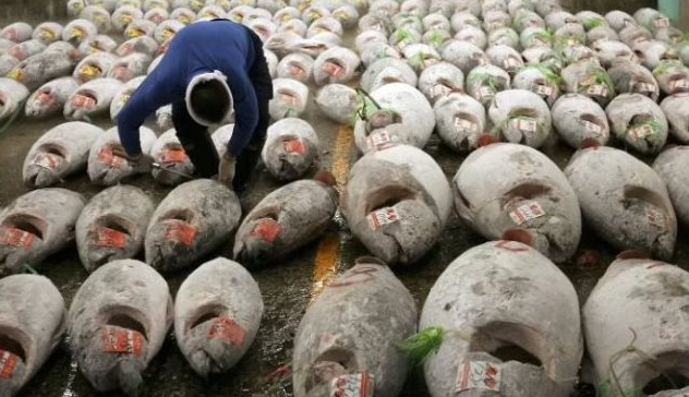 Một ‘sản vật’ đóng hộp của Việt Nam khiến 80 quốc gia tìm mua, riêng Mỹ chi 190 triệu USD - Ảnh 1.