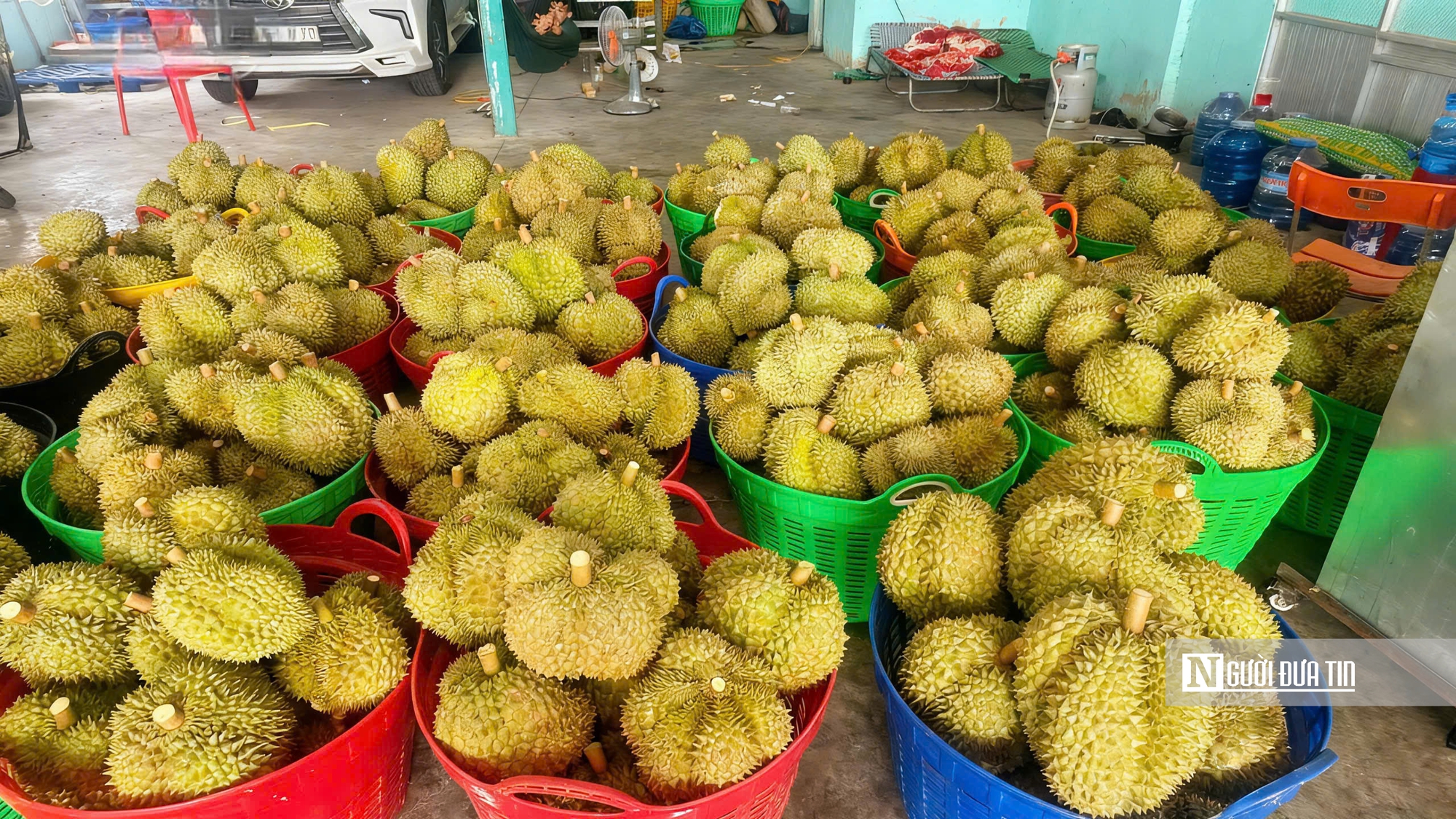 Khan hàng, doanh nghiệp tăng giá gom sầu riêng xuất khẩu- Ảnh 2.