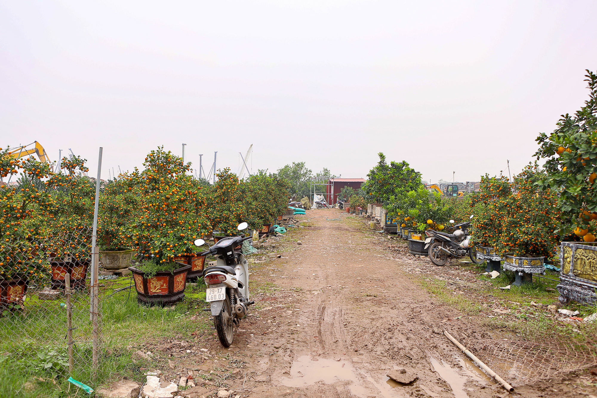 Toàn cảnh công trường sân vận động 60.000 chỗ lớn thứ 2 Việt Nam: Có mặt bằng "sạch" sau 2 tháng, máy móc phủ kín, sắp hoàn thành san lấp- Ảnh 7.