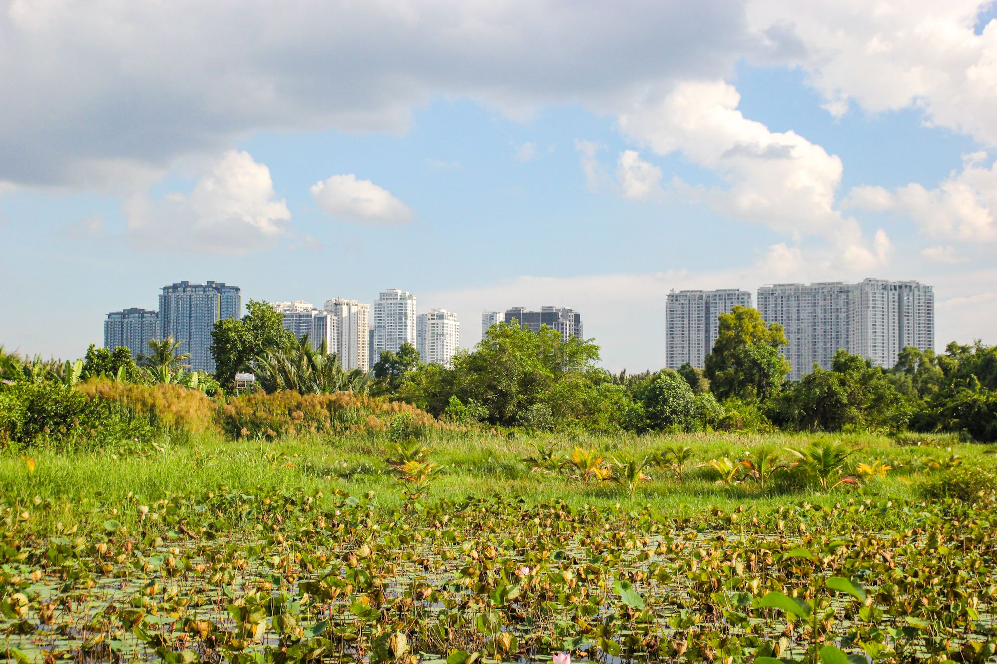 Toàn cảnh bán đảo bị quy hoạch treo 30 năm, sắp lột xác với siêu dự án gần 100.000 tỷ ở TP.HCM - Ảnh 8.