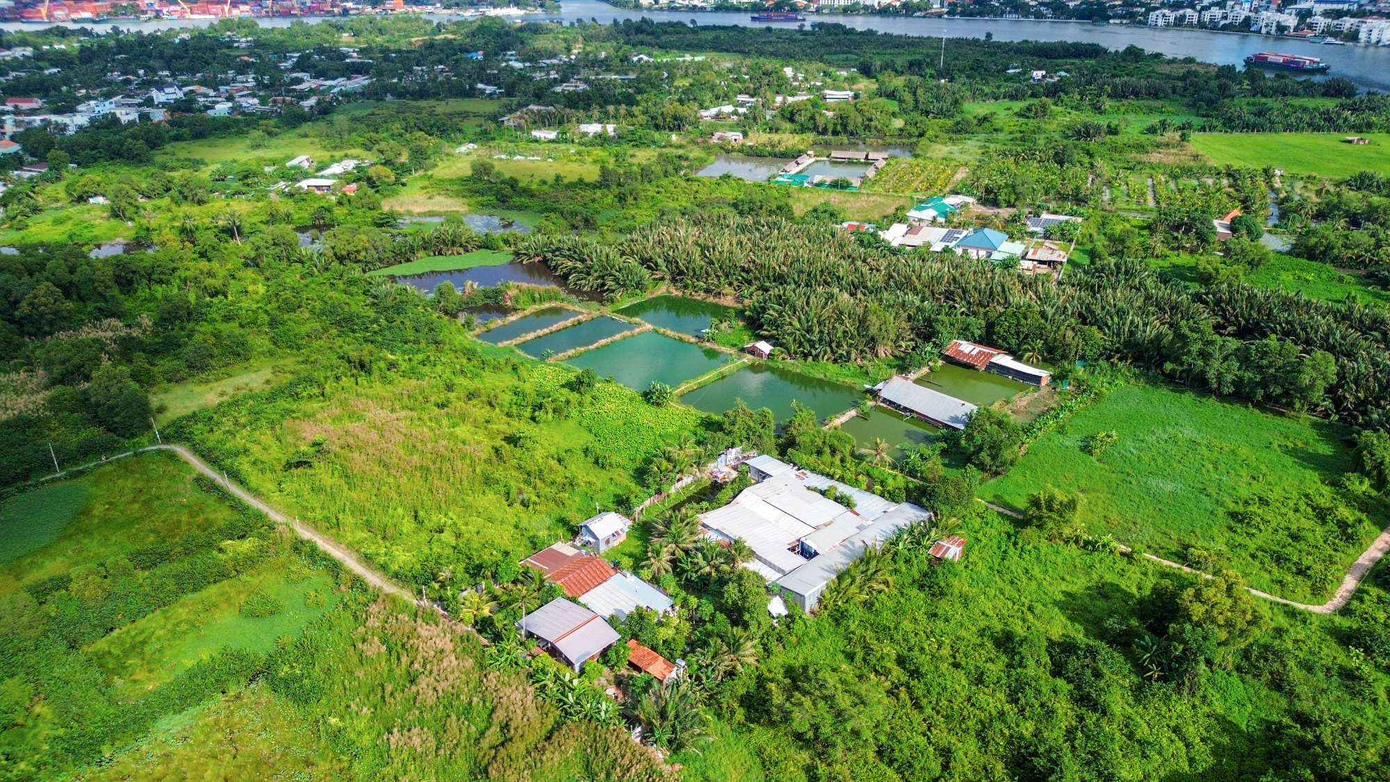 Toàn cảnh bán đảo bị quy hoạch treo 30 năm, sắp lột xác với siêu dự án gần 100.000 tỷ ở TP.HCM - Ảnh 9.