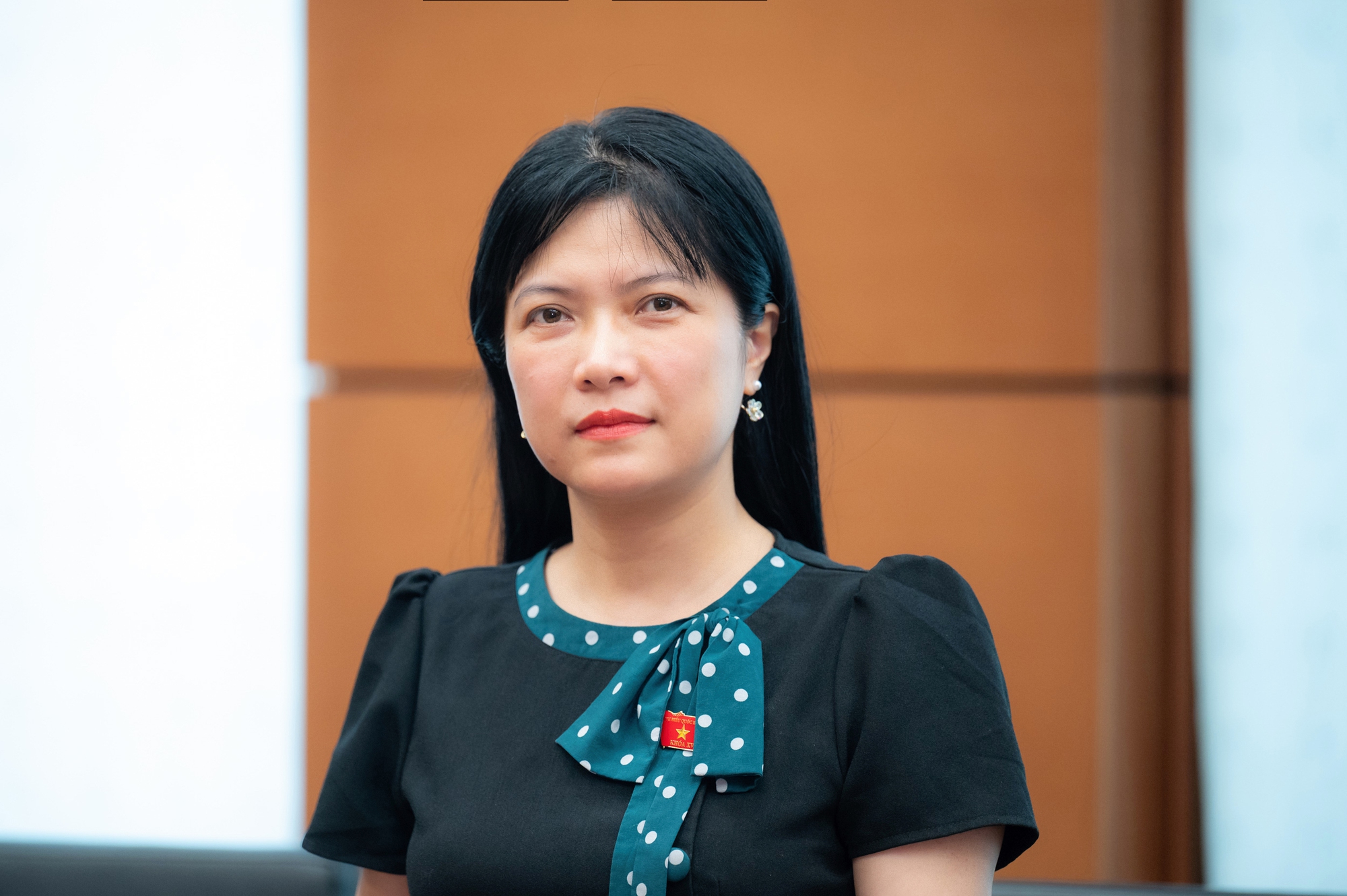 Lựa chọn đại biểu thực sự xứng đáng, nói tiếng nói của dân, lo việc của dân- Ảnh 1.