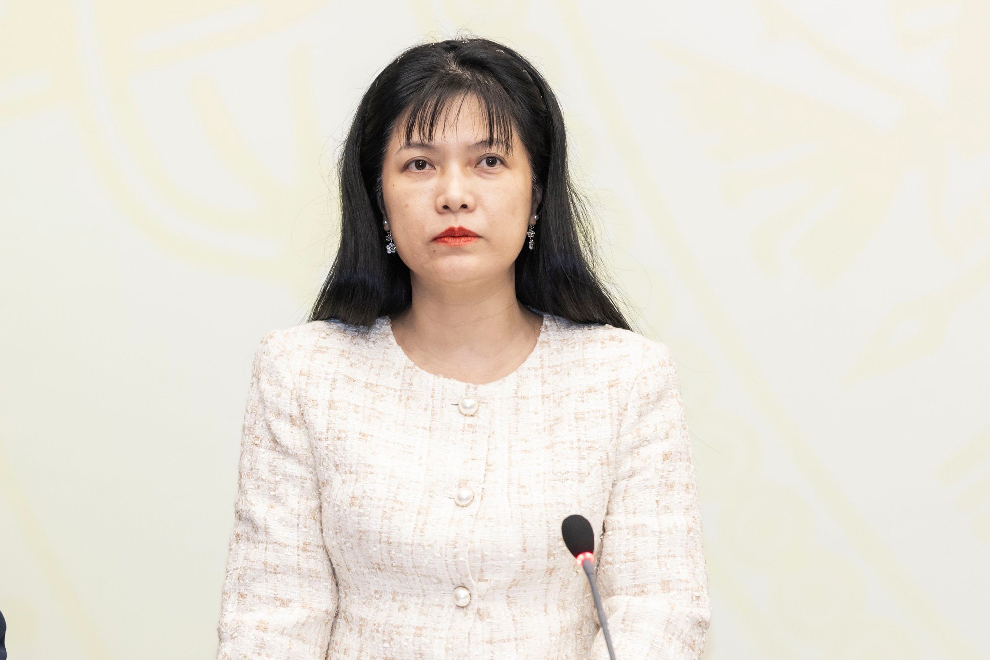 18 đại biểu ngoài Đảng trúng cử ĐBQH khoá XVI - Ảnh 2.