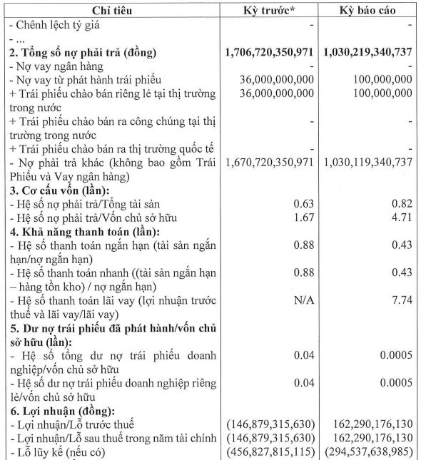 Bất động sản Diên Vĩ có lãi trở lại, liên tiếp giảm vốn điều lệ - Ảnh 1.