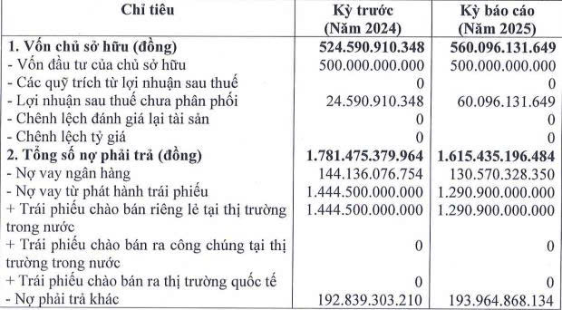 Năng lượng Bắc Phương báo lãi ròng ‘đi lùi’ 17,8% trong năm 2025 - Ảnh 1.