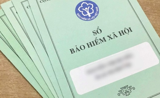 V Lotus Holdings tiếp tục bị "nhắc tên" vì chậm đóng bảo hiểm - Ảnh 1.