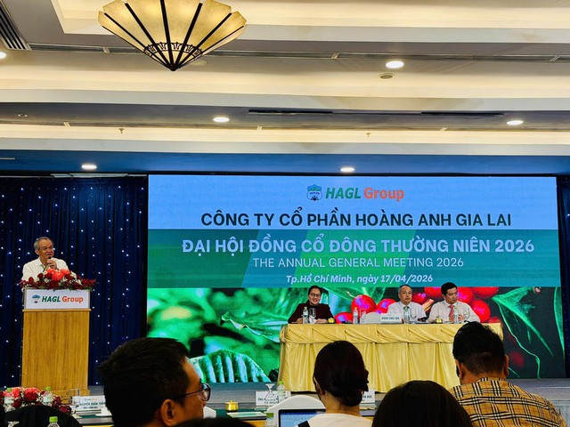 HAGL dự kiến huy động 2.000 tỷ đồng trái phiếu - Ảnh 1.