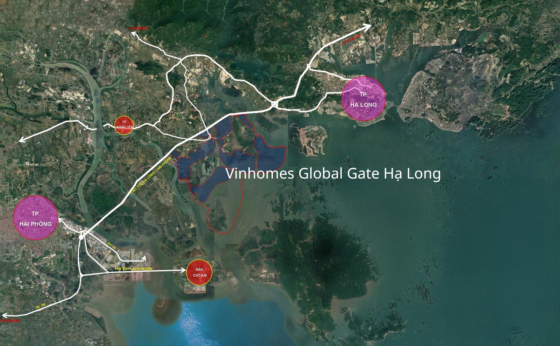 Toàn cảnh  khu được mở bán đầu tiên tại dự án 18 tỷ USD của Vinhomes: Rộng gấp 9 lần khu phố cổ hà nội, có ga cuối của tuyến đường sắt 5 tỷ USD, bán hết 80% giỏ hàng trong 36 tiếng - Ảnh 3.