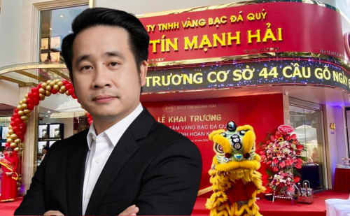 Bảo Tín Mạnh Hải tính chuyện IPO và niêm yết HOSE - Ảnh 1.