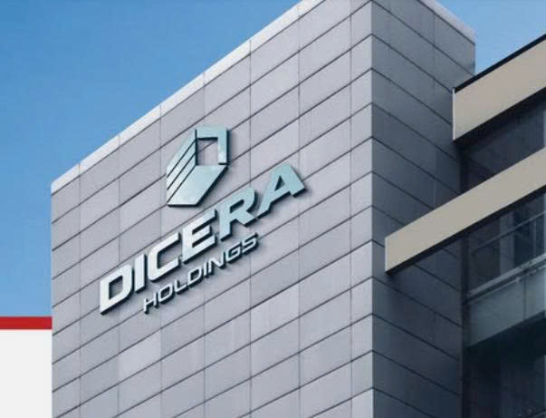 Cổ đông Dicera Holdings sắp nhận cổ tức bằng cổ phiếu tỷ lệ 10%- Ảnh 1.