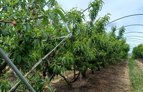 Không phải dầu thô, một mặt hàng của Iran đang gặp khó do xung đột Trung Đông: Lỗ 50% với các lô hàng, Ấn Độ than bị ‘vạ lây’ - Ảnh 1.