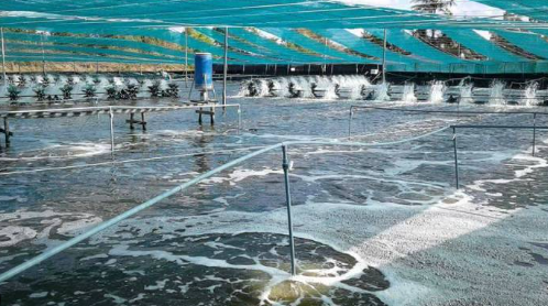 Không phải đất hiếm hay sầu riêng, một mỏ vàng của Việt Nam vừa mang về 1,5 tỷ USD, Trung Quốc là ‘khách ruột’ - Ảnh 1.