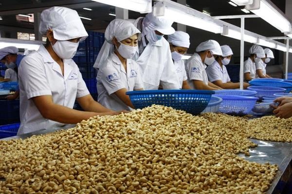 Không phải gạo hay cà phê: Loại hạt tỷ USD giúp Việt Nam giữ ngôi số 1 thế giới suốt 19 năm- Ảnh 2.