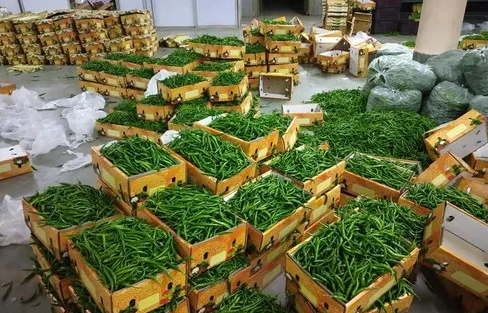 Việt Nam đón tin vui từ châu Á - Ảnh 1.
