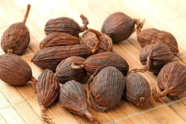 Thứ quả 'trời cho' mọc đầy dưới tán rừng Việt Nam, nay thành 'mỏ vàng' giá gần 300.000 đồng/kg khiến thương lái săn lùng - Ảnh 2.