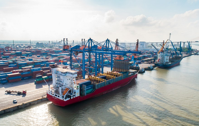 Cảng Đình Vũ chốt ngày trả cổ tức tiền mặt tỷ lệ 50% - Ảnh 1.