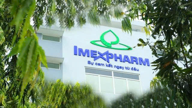 Imexpharm trả cổ tức năm 2025 bằng tiền tỷ lệ 6% - Ảnh 1.