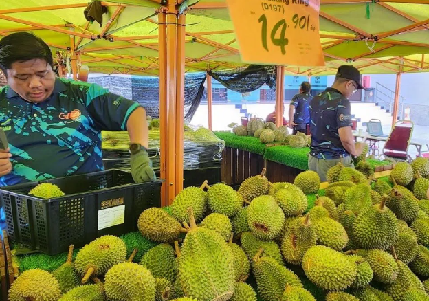 Quá nhiều sầu riêng, một đối thủ của Việt Nam tính mở tuyến đường bộ sang Trung Quốc để giảm chi phí, đang xuất khẩu 40 tấn mỗi ngày bằng máy bay - Ảnh 1.
